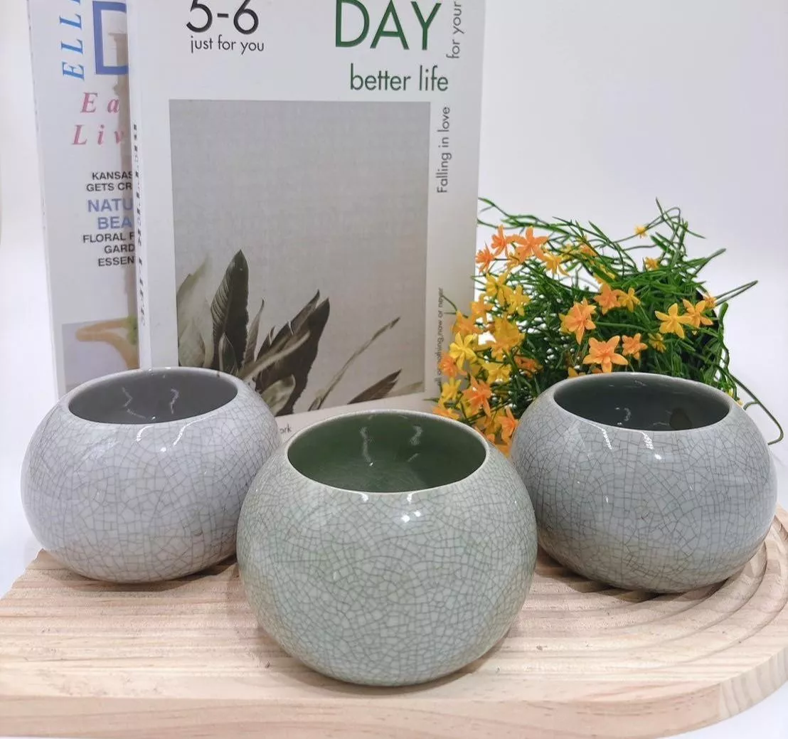 【滿額免運】冰裂 黑蚊 藍晶盆 簡約風 生活家飾 陶盆 蘭花盆 多肉花盆 仙人掌花盆 陶瓷花盆 小盆栽 盆器  綜一園藝