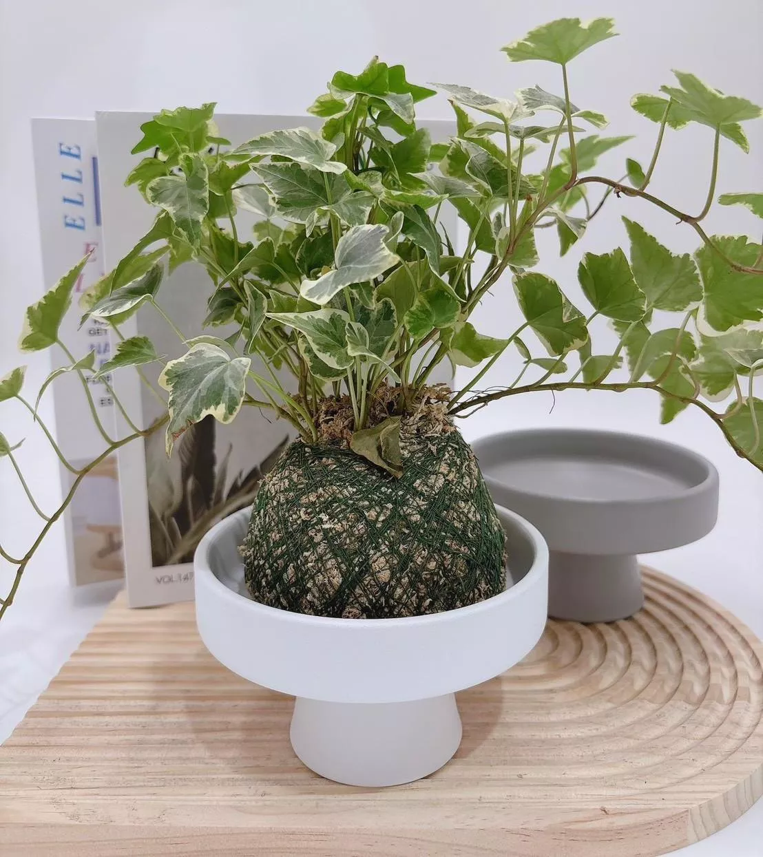 【滿額免運】日系高腳花盆 無孔洞 生活家飾 陶盆 蘭花盆 多肉花盆 仙人掌花盆 陶瓷花盆 小盆栽 盆器  綜一園藝