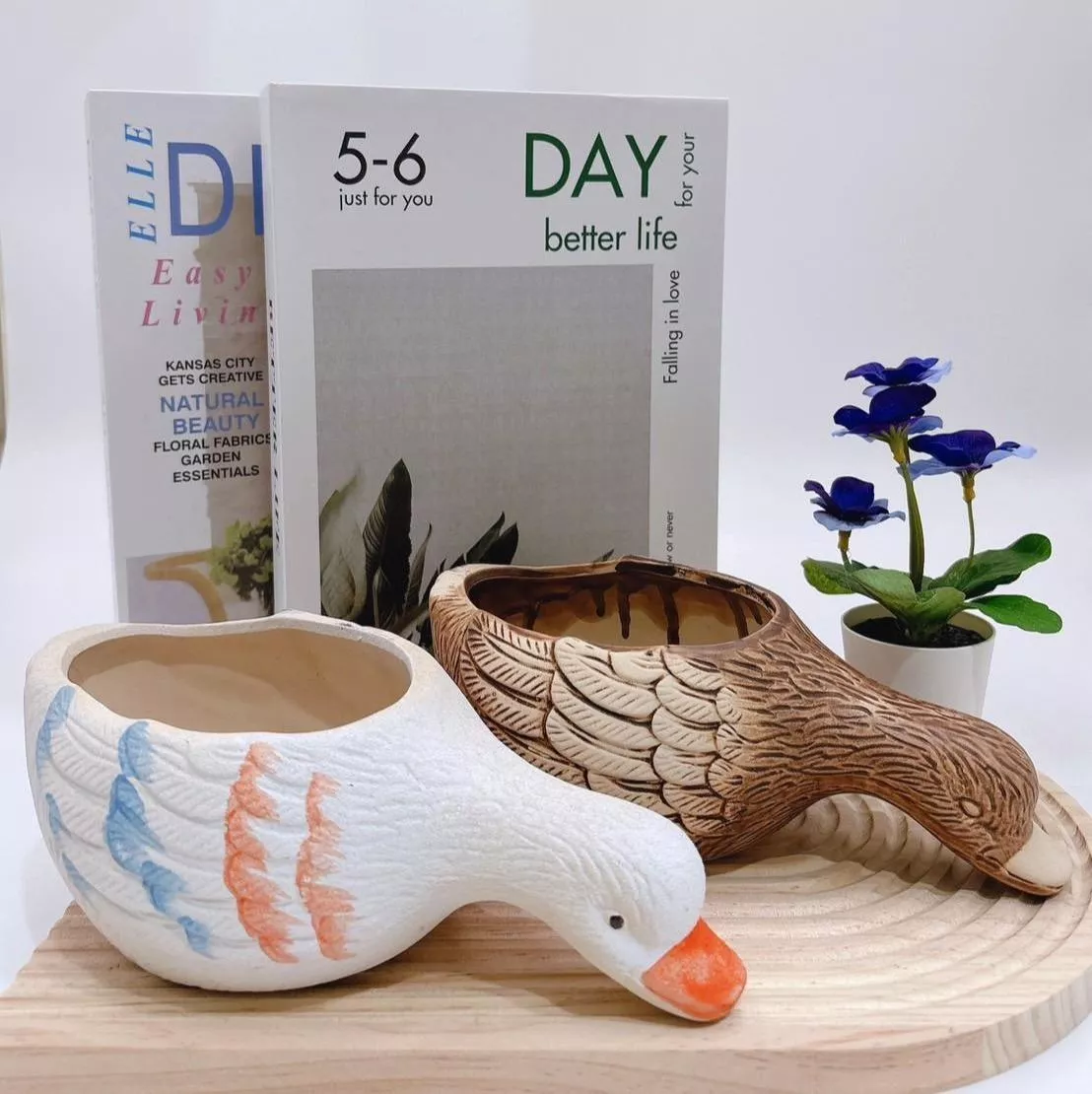 【滿額免運】鴨子 花盆 鄉村風 生活家飾 陶盆 蘭花盆 多肉花盆 仙人掌花盆 陶瓷花盆 小盆栽 盆器  綜一園藝