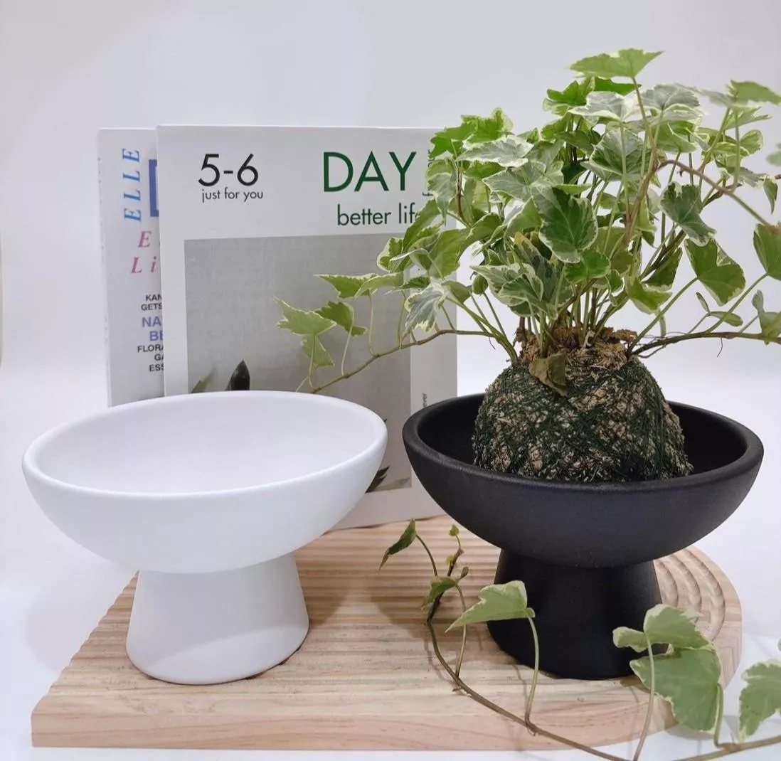 【滿額免運】日系高腳花盆 無孔洞 生活家飾 陶盆 蘭花盆 多肉花盆 仙人掌花盆 陶瓷花盆 小盆栽 盆器  綜一園藝