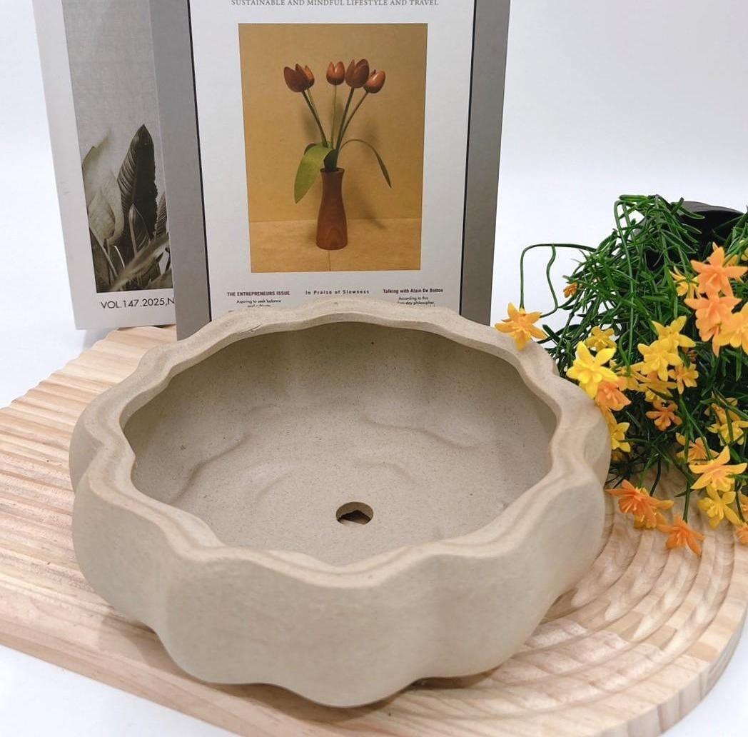 【滿額免運】多肉盆 生活家飾 陶盆 蘭花盆 多肉花盆 仙人掌花盆 陶瓷花盆 小盆栽 盆器  綜一園藝