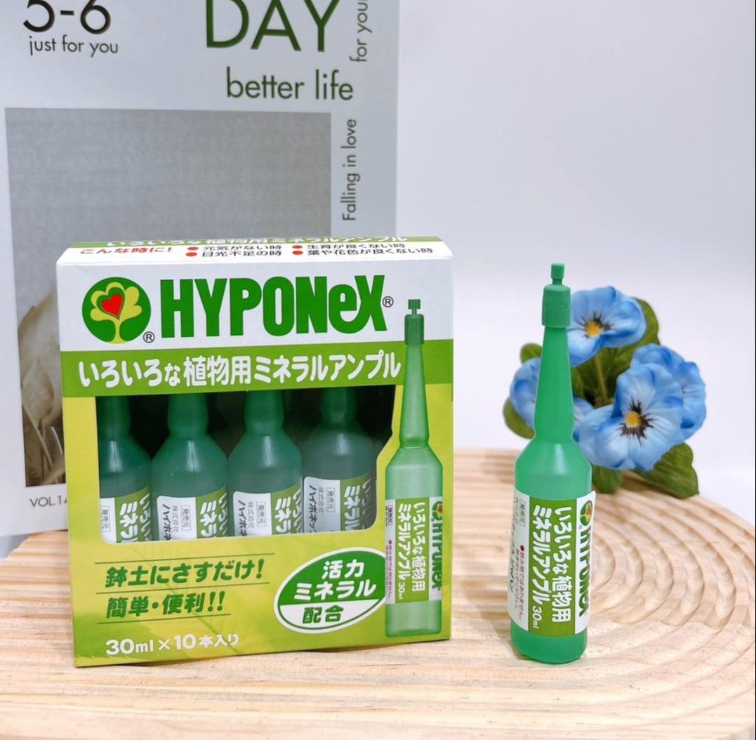 【台灣現貨】HYPONeX - 日本花寶觀葉植物插支液 (日本原裝) 營養液 營養劑 補充劑 盒裝共10支