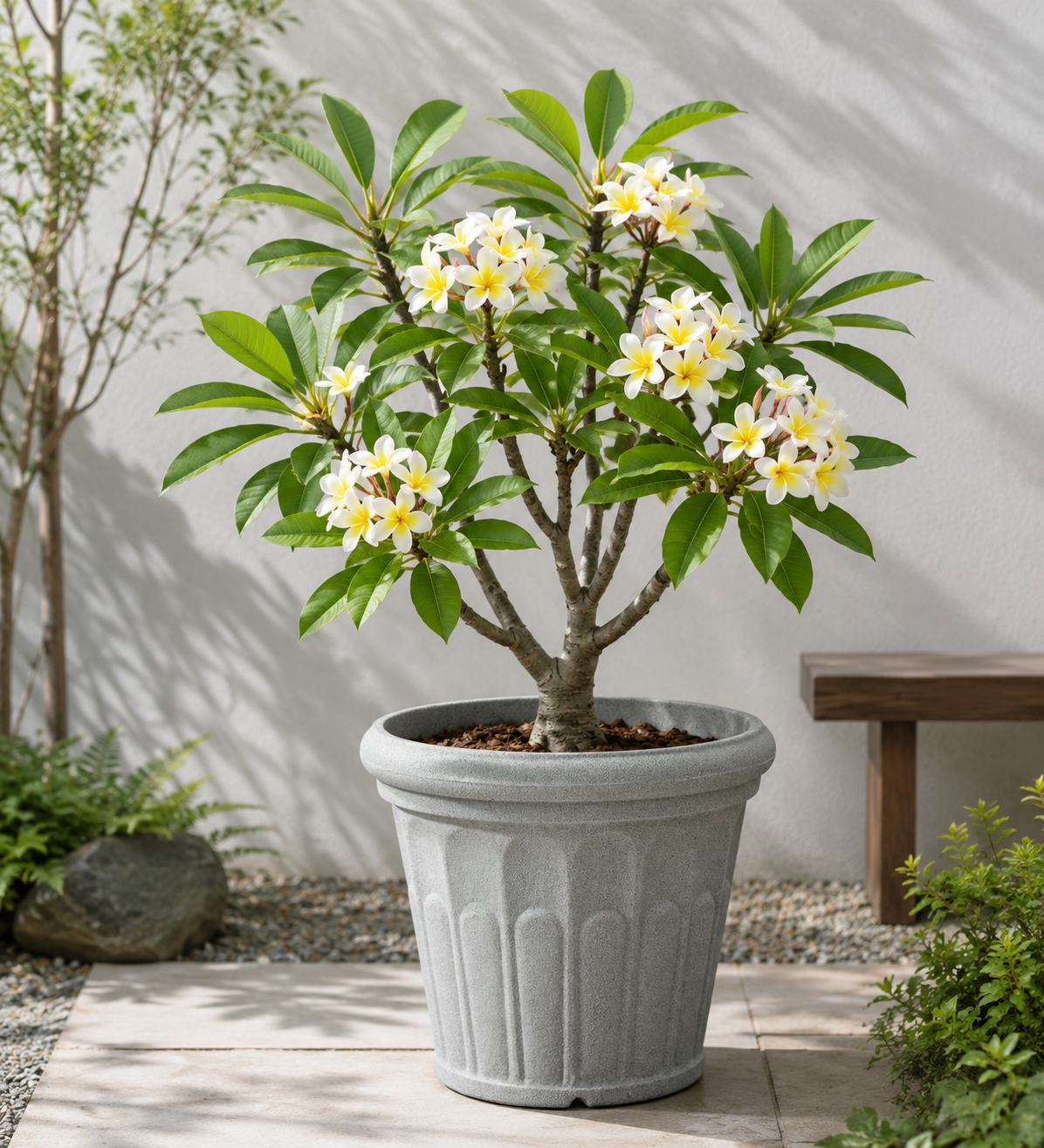 【滿額免運】花瓣紋水泥盆 大花盆 石材花盆 塑膠花盆 大花盆 水泥盆 盆栽 塑膠盆 景觀園藝 大型花盆 綜一