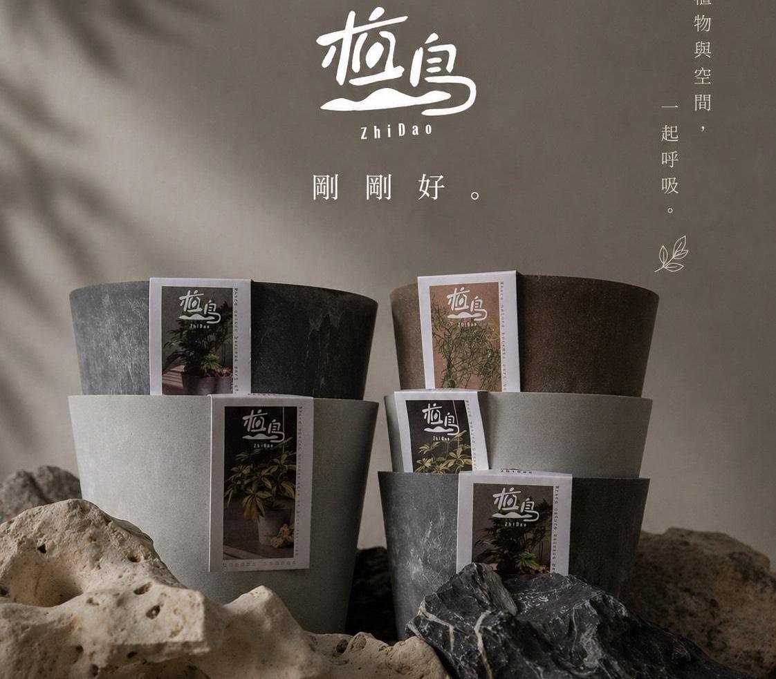 【滿額免運】植島石紋花盆 臺灣製 仿石紋花盆 超厚花盆 仿石紋理 簡約盆器 塑膠花盆 植島 圓盆 圓形盆 花盆 觀葉花盆