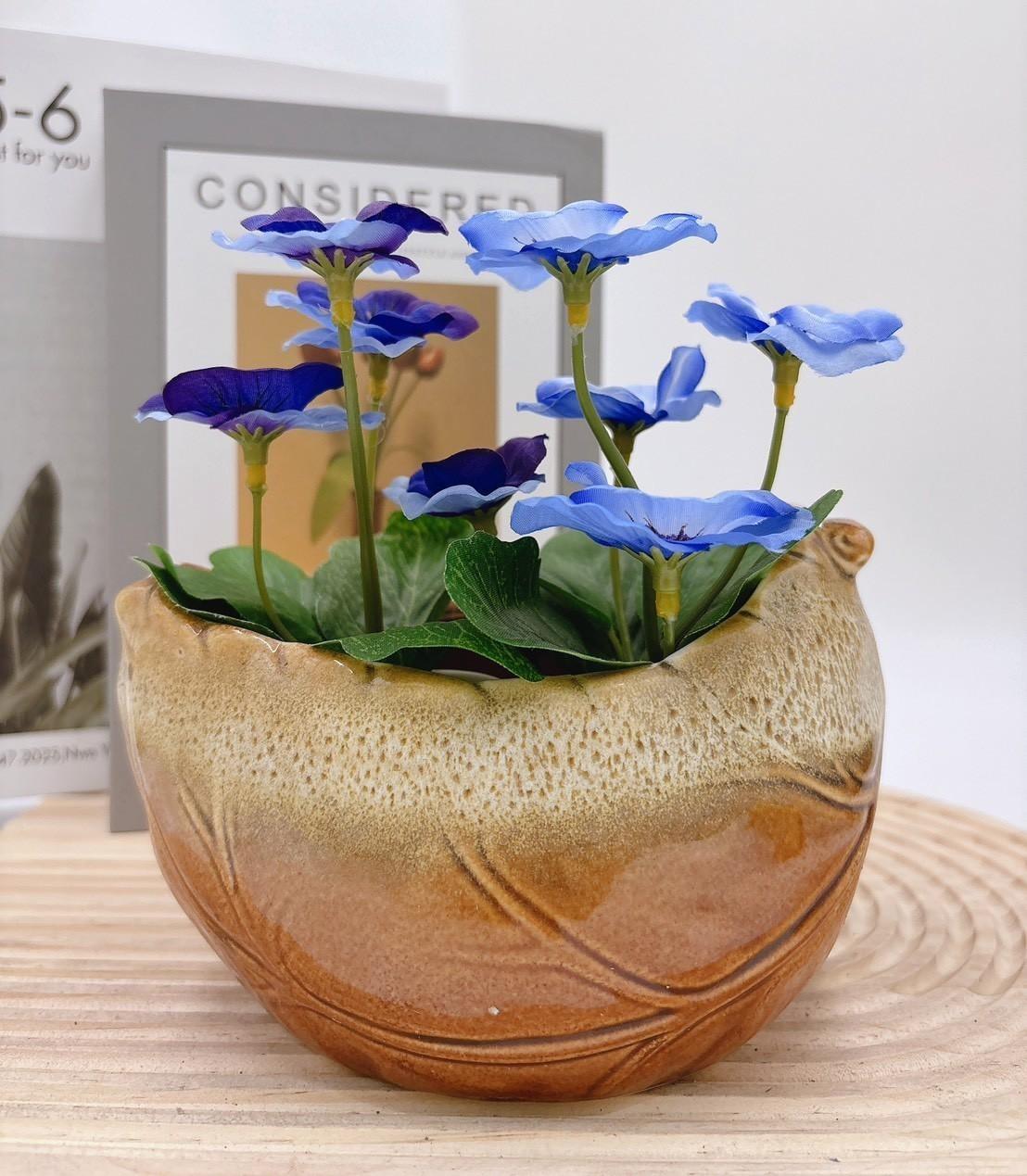 【滿額免運】葉脈盆 造型盆 葉子 花盆 生活家飾 陶盆 蘭花盆 多肉花盆 仙人掌花盆 陶瓷花盆 小盆栽 盆器  綜一園藝