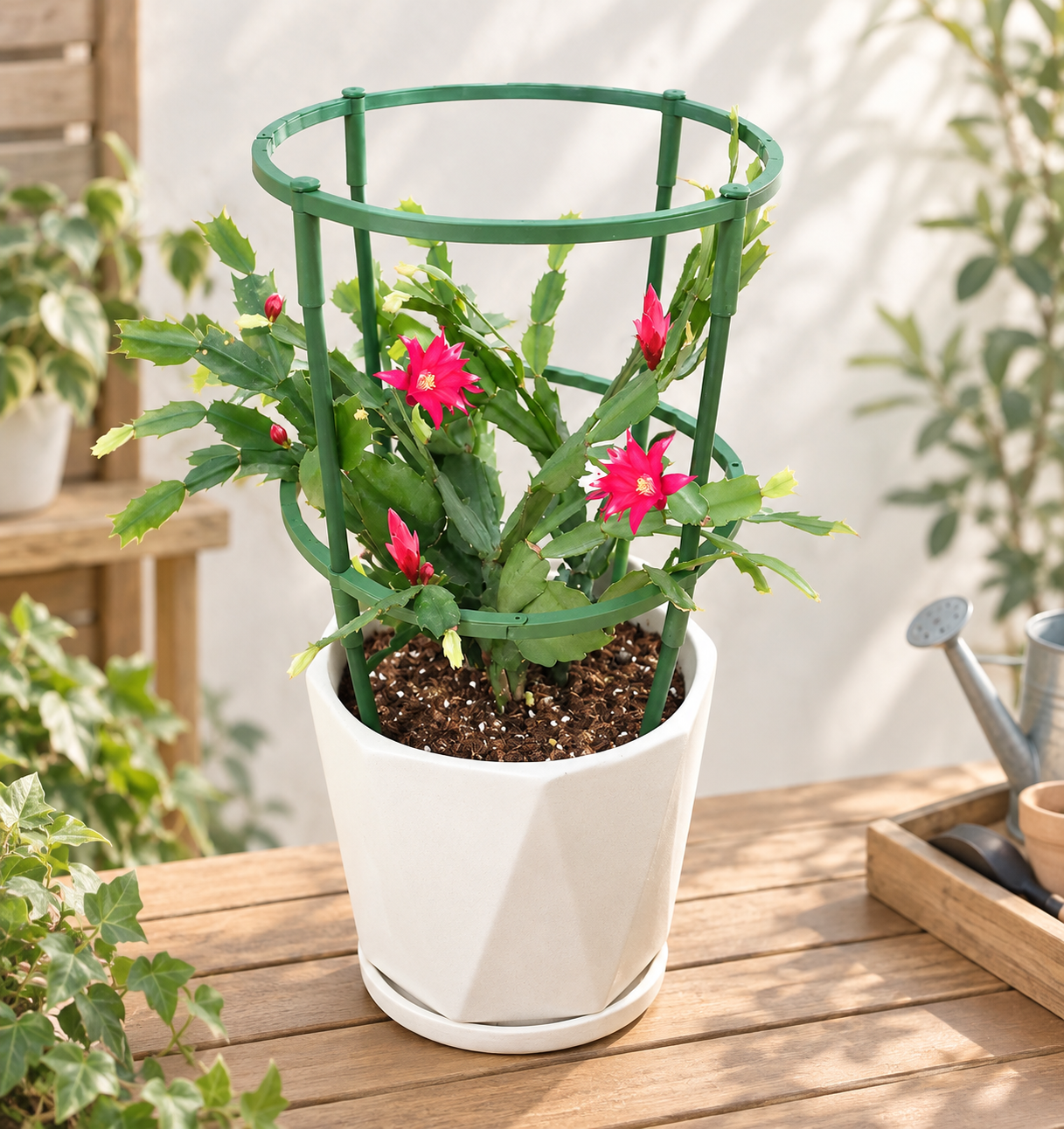 【滿額免運】可疊加花架 無限加高 花卉固定 植物支撐 爬藤架 園藝支撐架 植物花架 花盆支架 花盆圍籬 支撐架 陽台花架