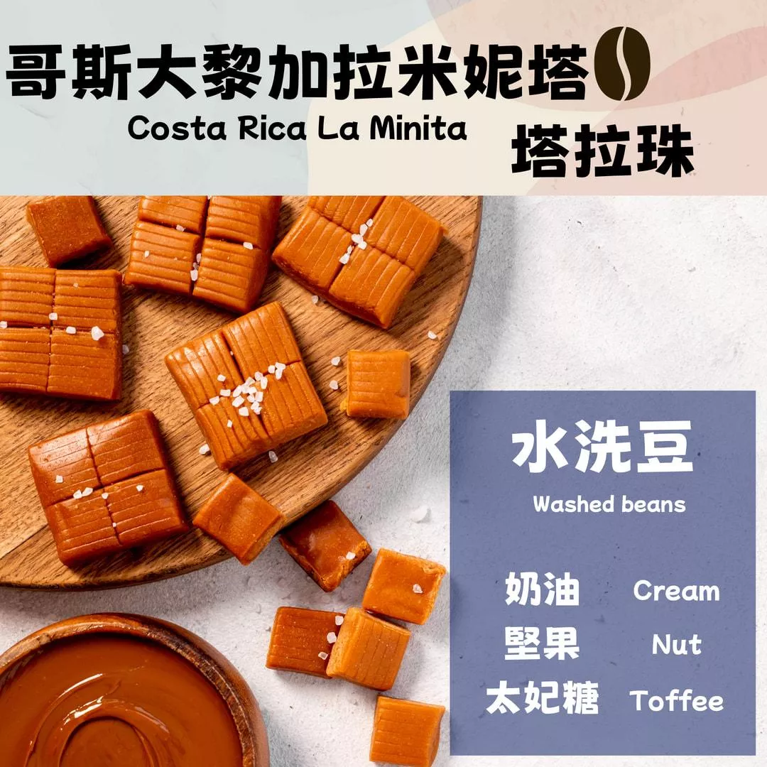 哥斯大黎加  拉米尼塔