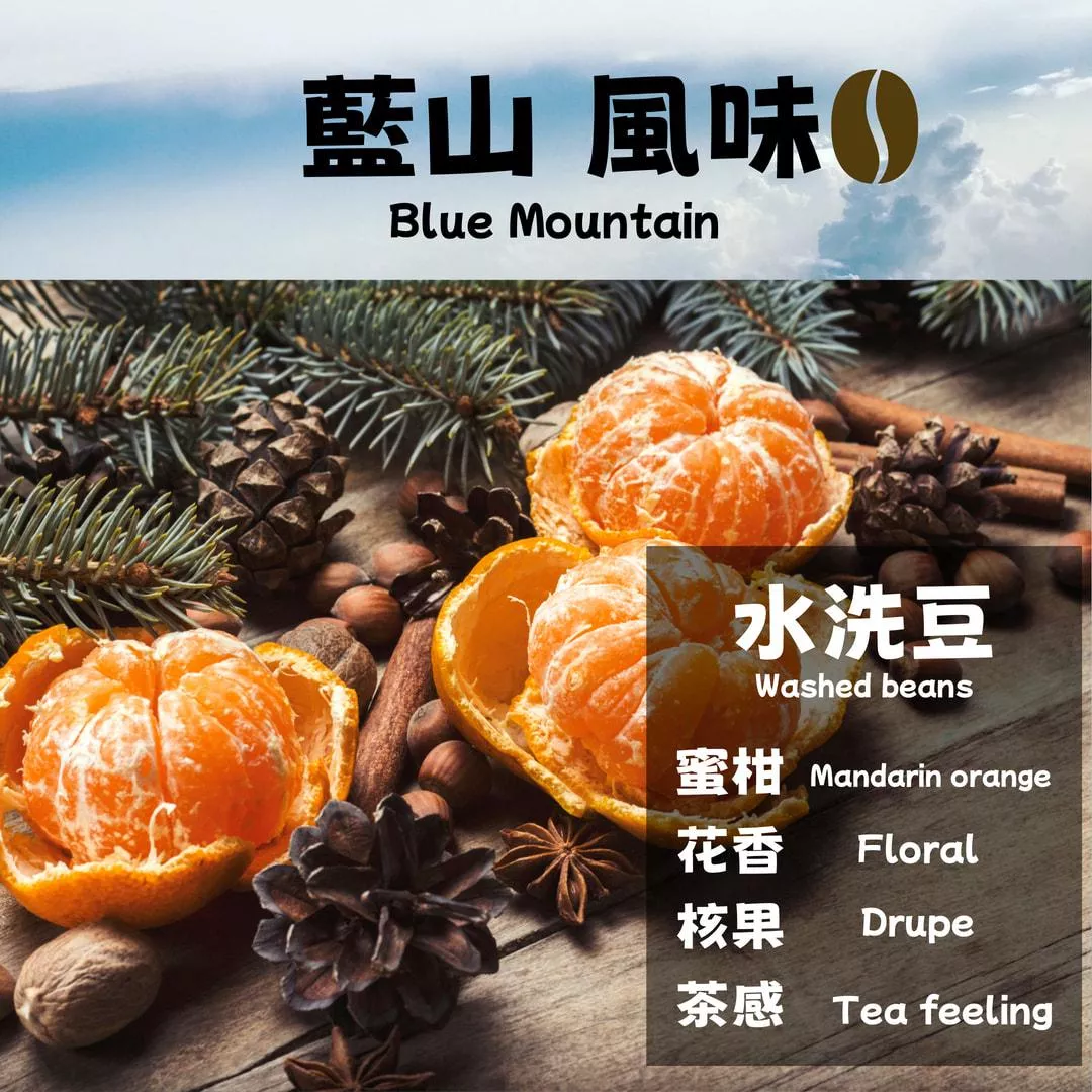 藍山  風味