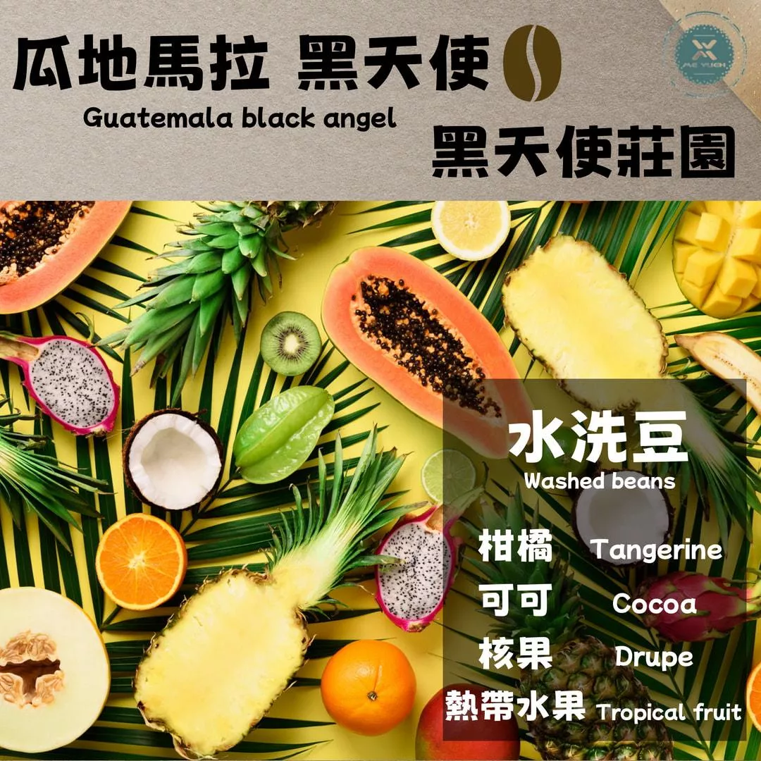 瓜地馬拉  黑天使