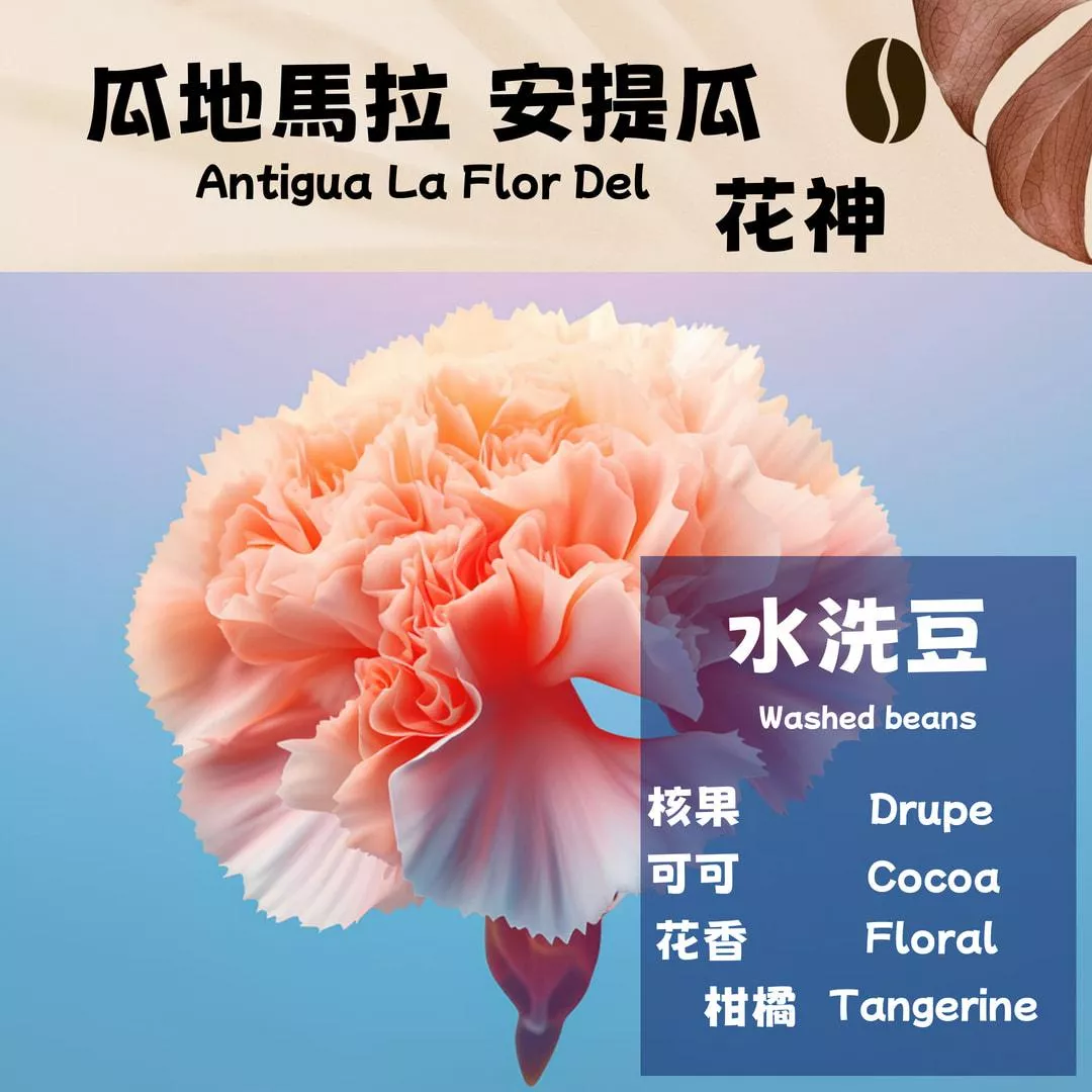 瓜地馬拉  花神