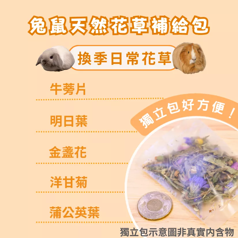 【混合花草系列】換季日常花草