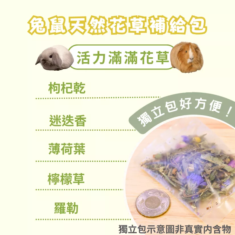 【混合花草系列】活力滿滿花草