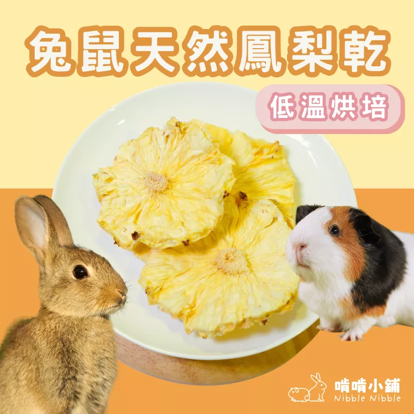 【手工果乾系列】鳳梨乾