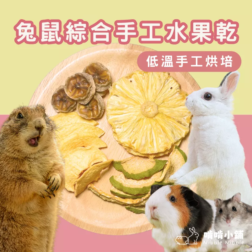 【手工果乾系列】綜合水果乾