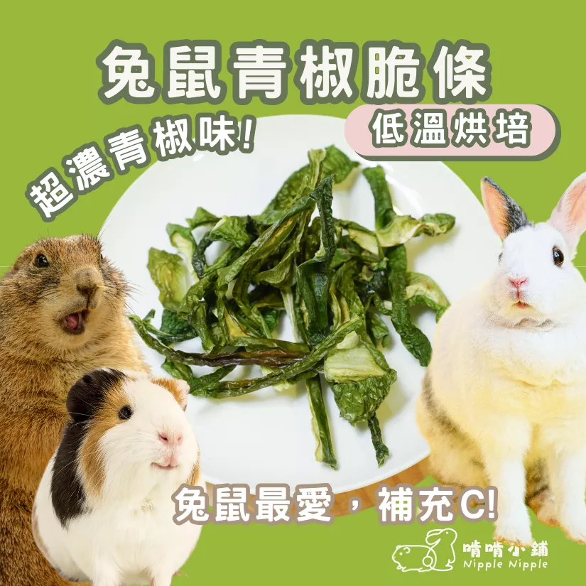 【手工果乾系列】青椒乾