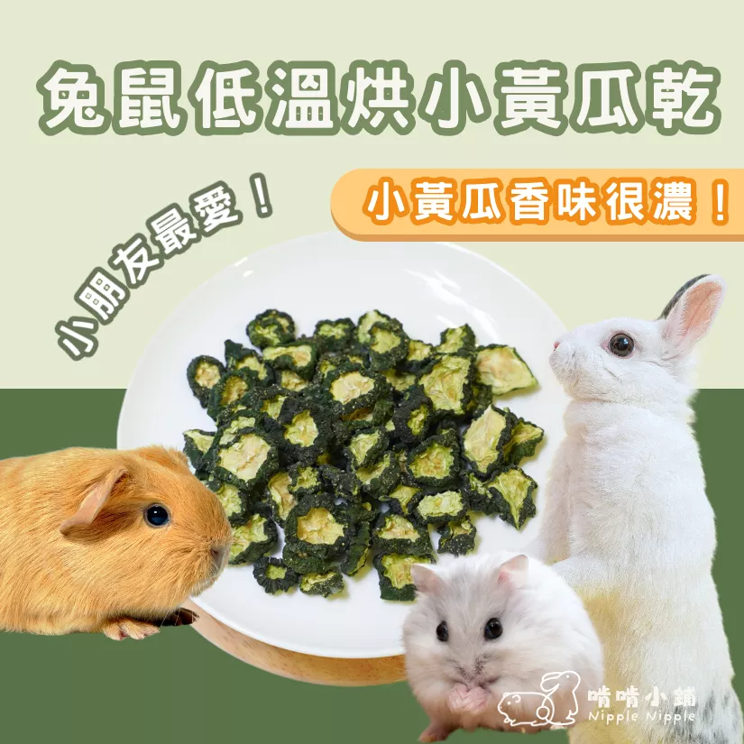 【手工果乾系列】小黃瓜乾