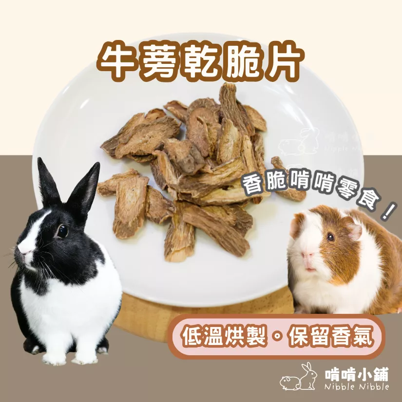 【嚴選零食系列】牛蒡乾脆片