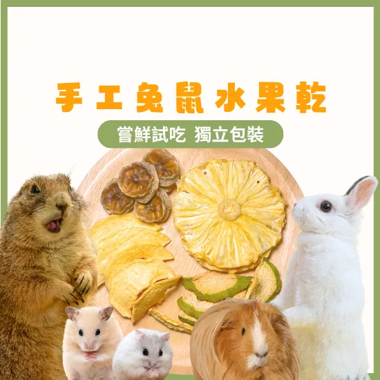 【手工果乾系列】水果乾小份量試吃