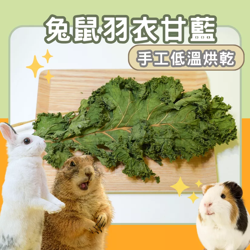 【手工果乾系列】羽衣甘藍