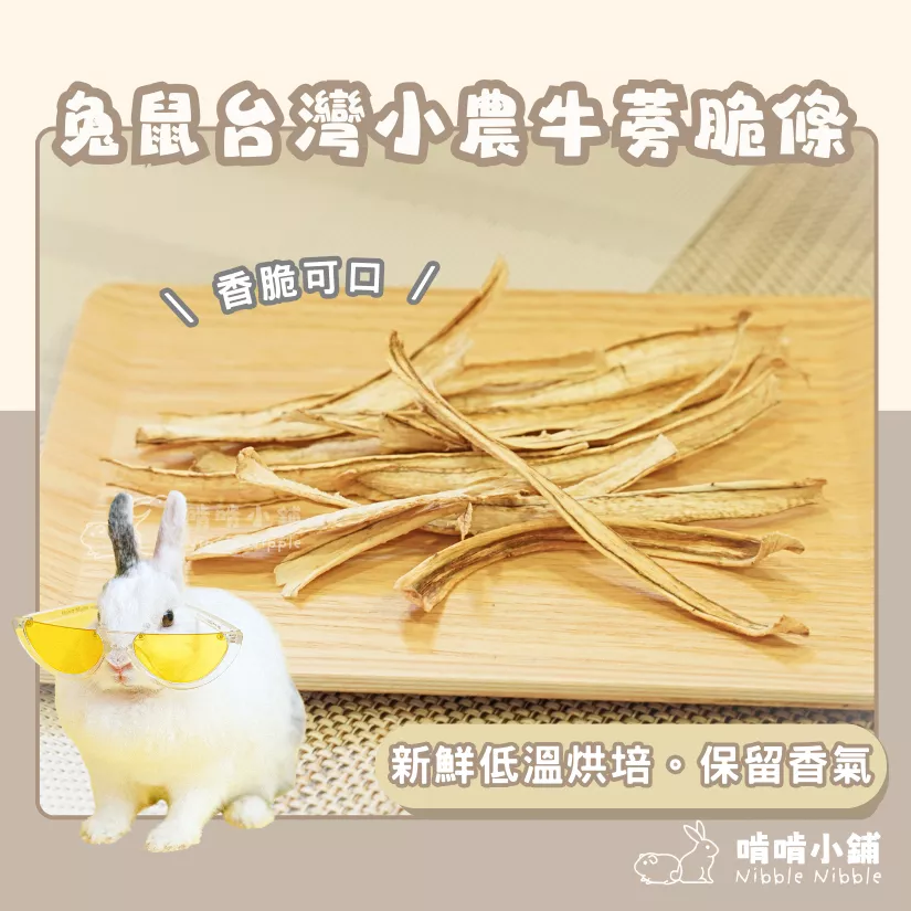 【手工果乾系列】牛蒡脆條