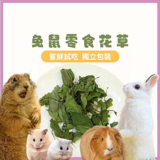 【零食花草系列】小份量試吃