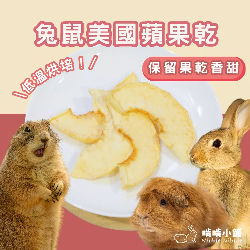 【限時優惠買1送1】蘋果乾(每筆訂單最多限購1份)