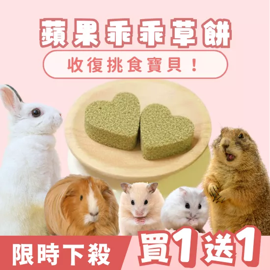 【限時買1送1】蘋果草餅