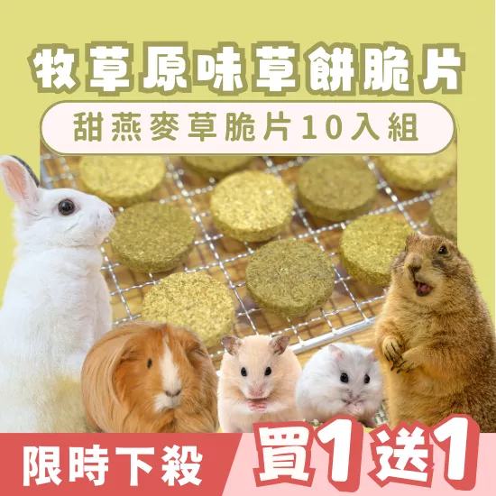 【限時買1送1】甜燕麥草餅10入組