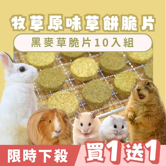 【限時買1送1】黑麥草草餅10入組
