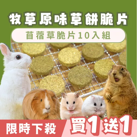 【限時買1送1】苜蓿草草餅10入組