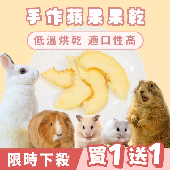 【限時買1送1】蘋果乾30g(1入)