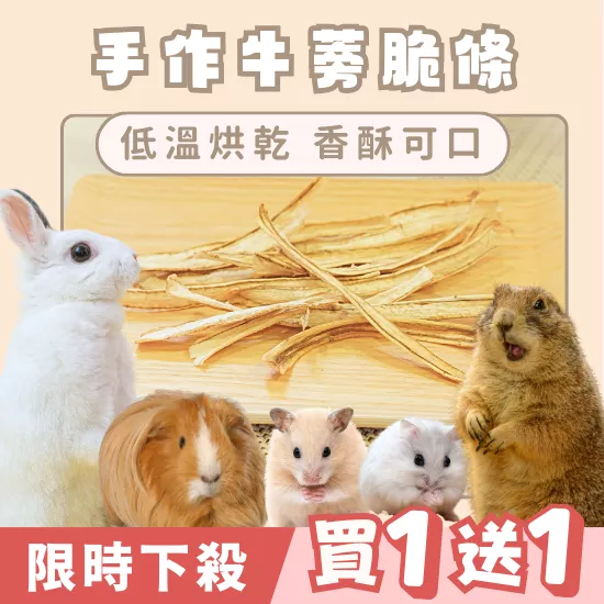 【限時買1送1】牛蒡脆條20g(1入)