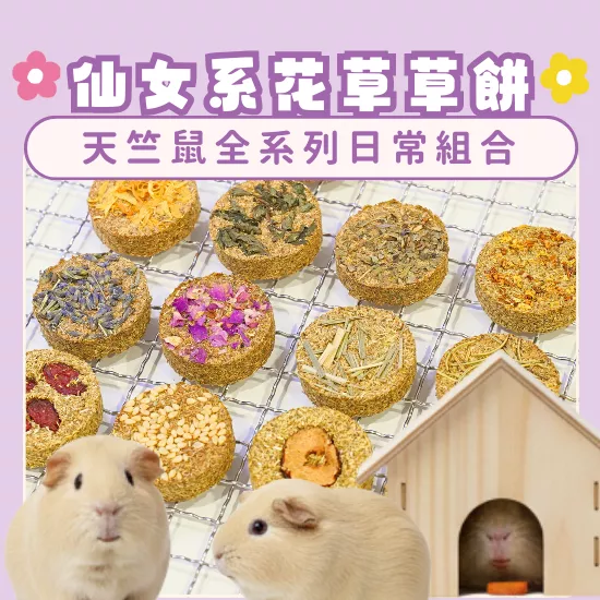 【仙女系花草草餅系列】全系列日常組合(天竺鼠)