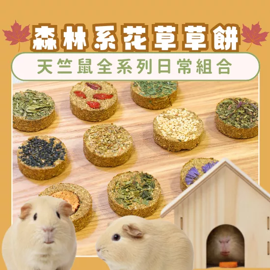 【森林系花草草餅系列】全系列日常組合(天竺鼠)