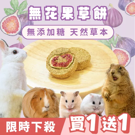 【限時買1送1】無花果草餅2入組