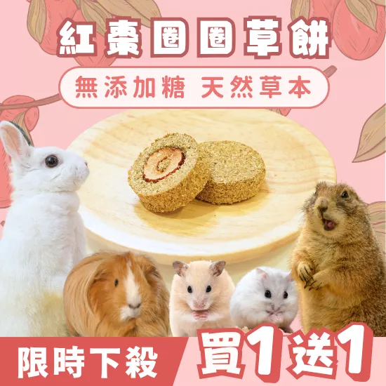 【限時買1送1】紅棗草餅2入組