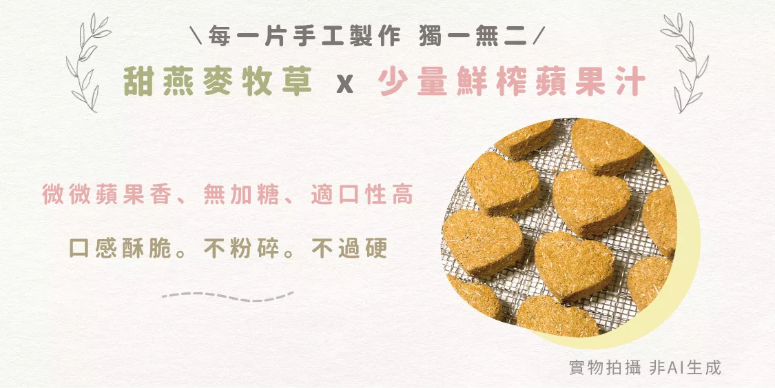 啃啃小鋪 兔子天竺鼠零食-蘋果乖乖草餅