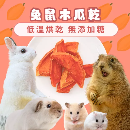 【手工果乾系列】木瓜乾