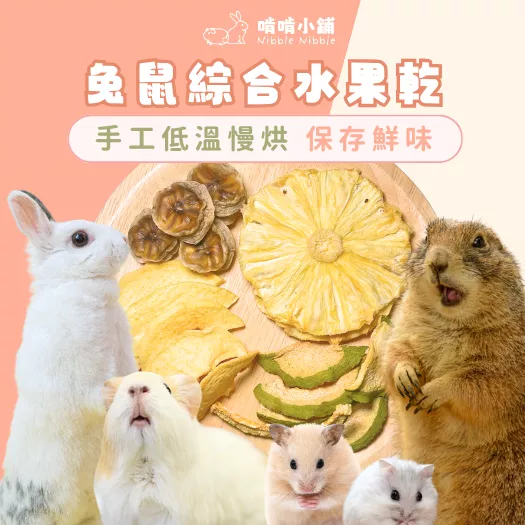 【手工果乾系列】綜合水果乾
