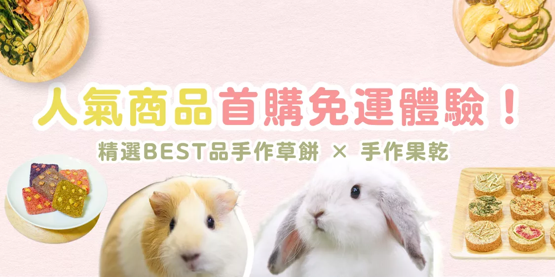 免運組-2.png 啃啃小鋪 兔鼠零食人氣商品