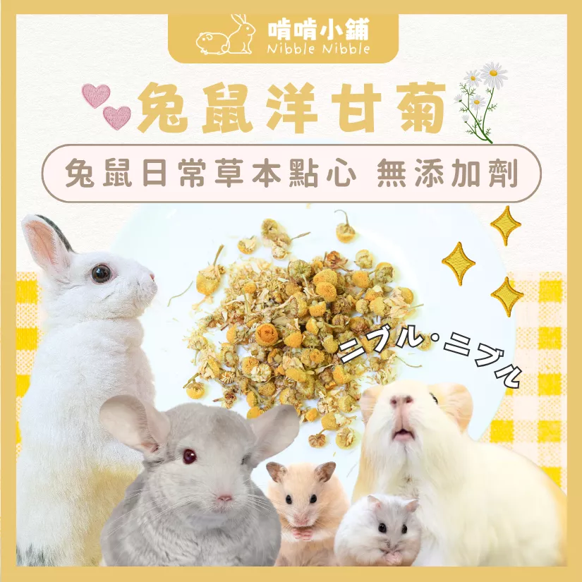【零食花草系列】洋甘菊