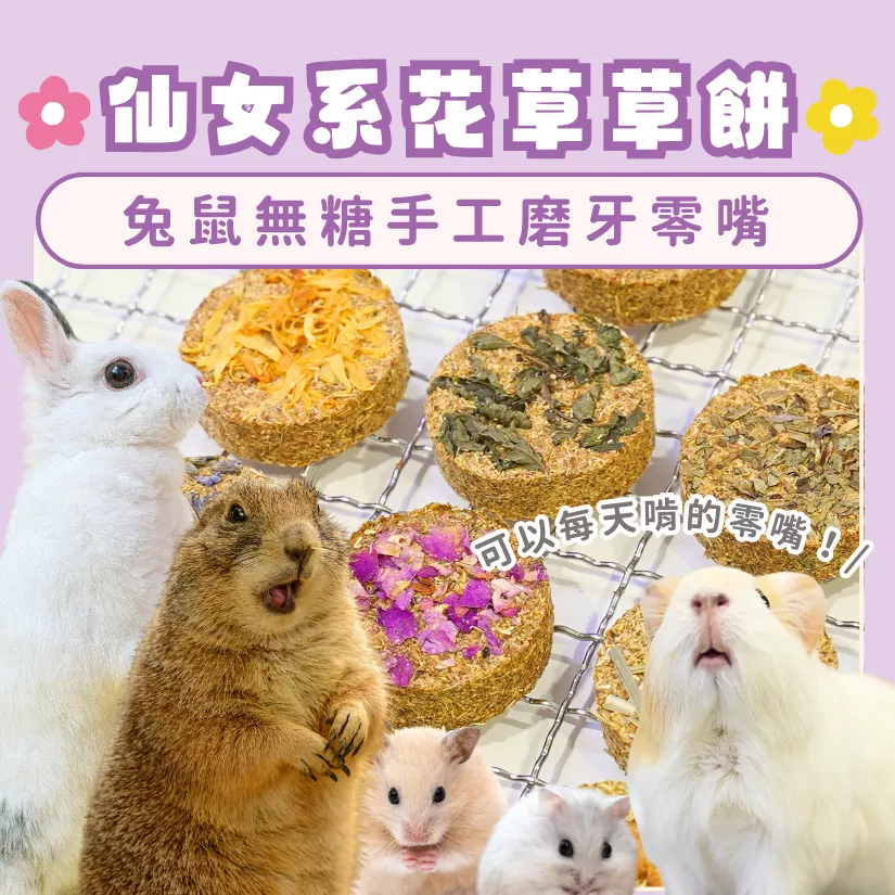 【仙女系花草草餅系列】全系列日常組合