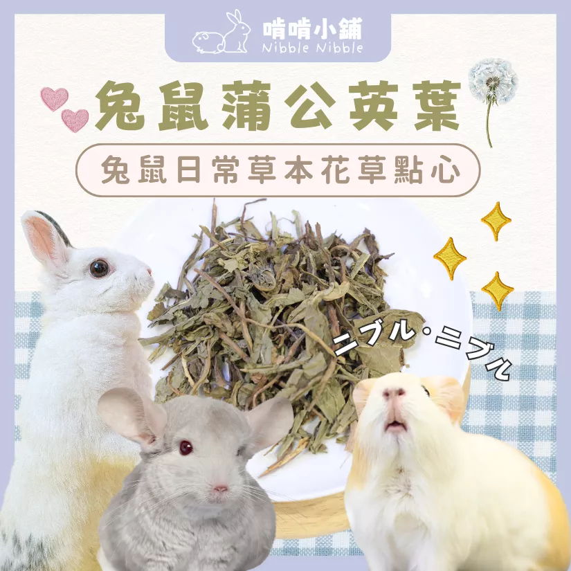 【零食花草系列】蒲公英葉