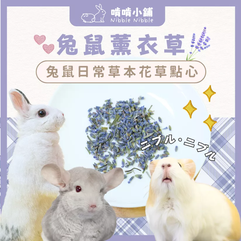 【零食花草系列】特寵烘乾薰衣草