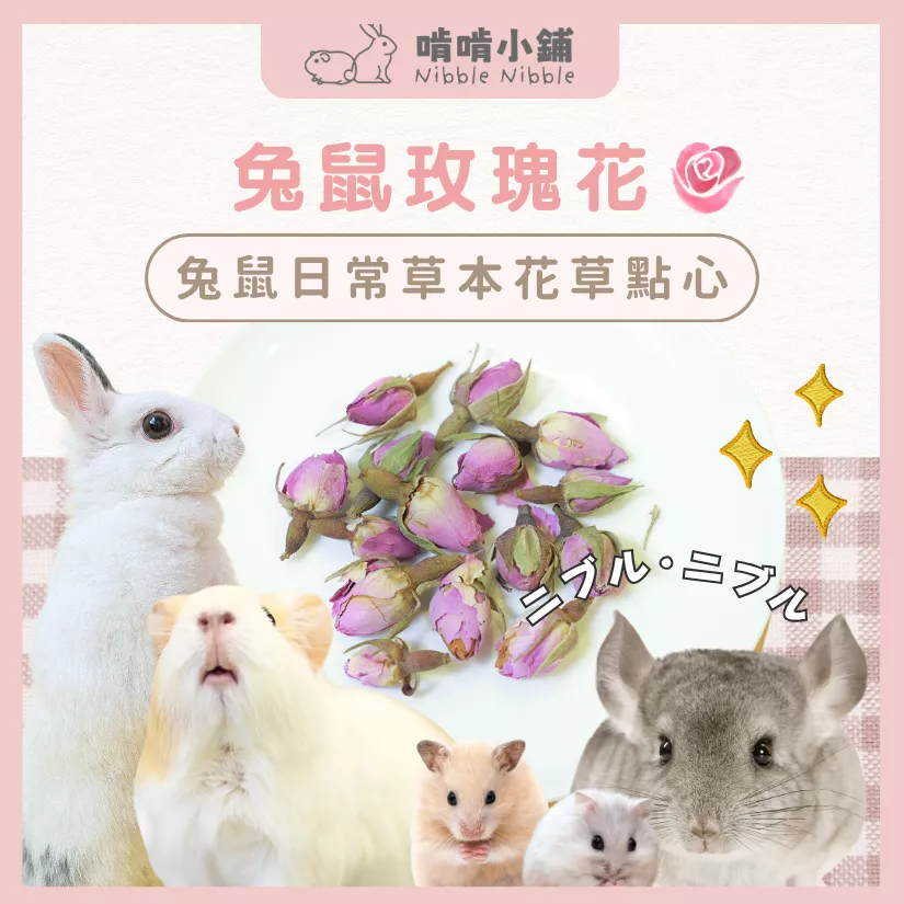 【零食花草系列】烘乾玫瑰花
