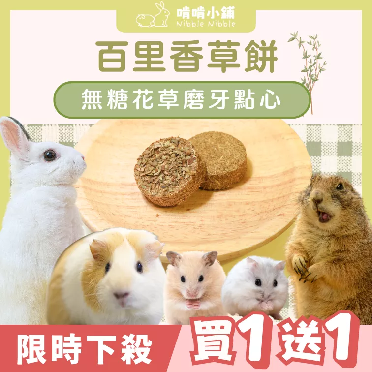 【限時買1送1】百里香草餅▶限量50份