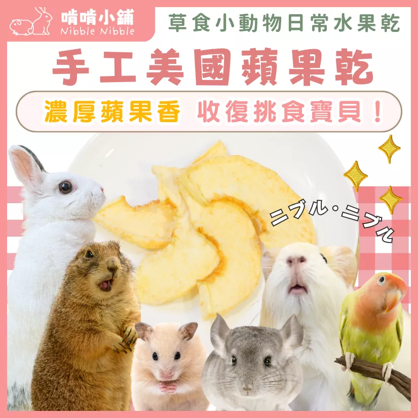 【手工果乾系列】蘋果乾