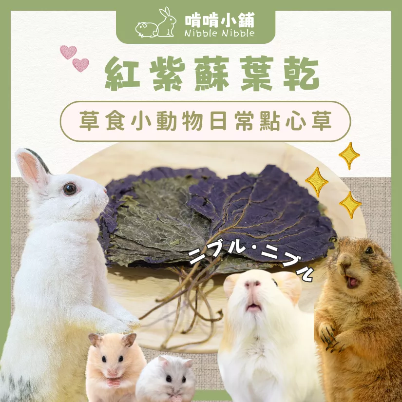 【零食花草系列】紅紫蘇葉