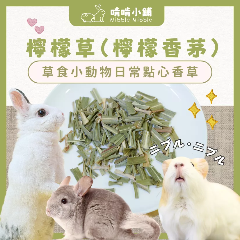 【零食花草系列】檸檬草