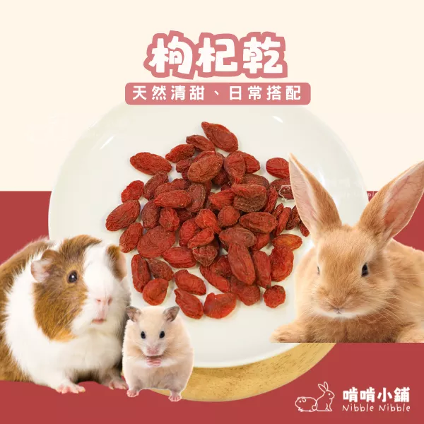 【嚴選零食系列】枸杞乾